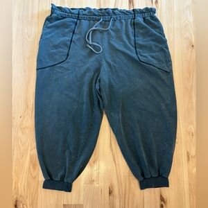 Plus Size Avec Les Filles Dark Grey Jogger 3XL 3X Womens Drawstring Casual